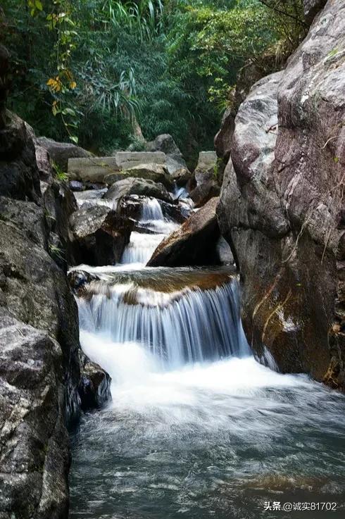 除虫大师