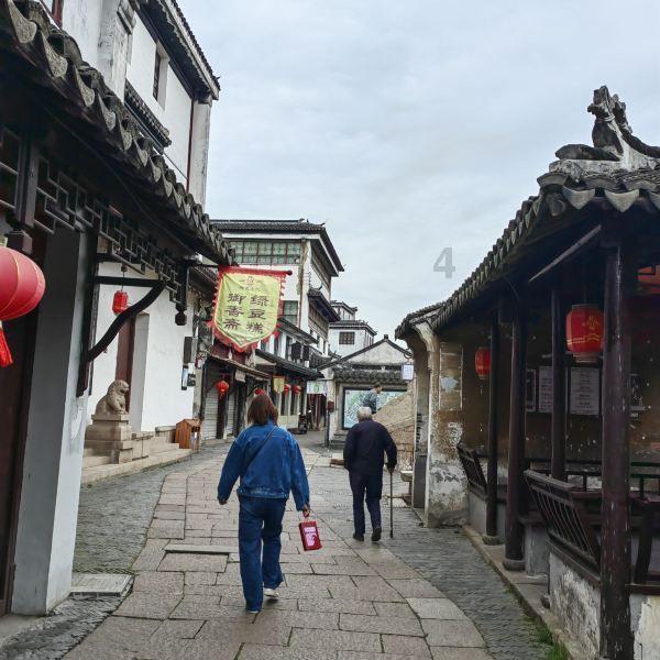 杀出重围人类分裂